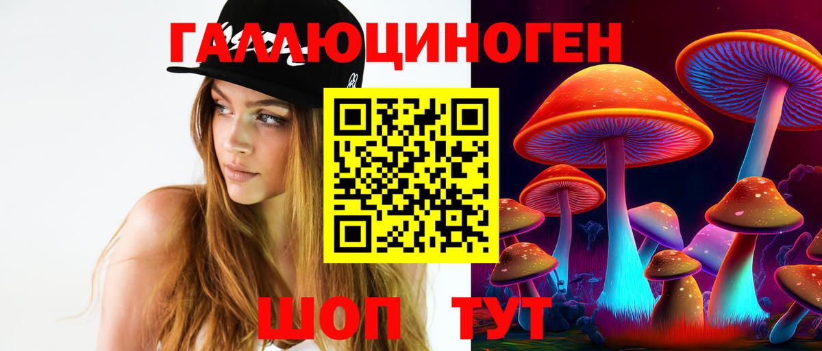 Партизанск  хочу   Вход с VPN  Псилоцибиновые грибы мухоморы 